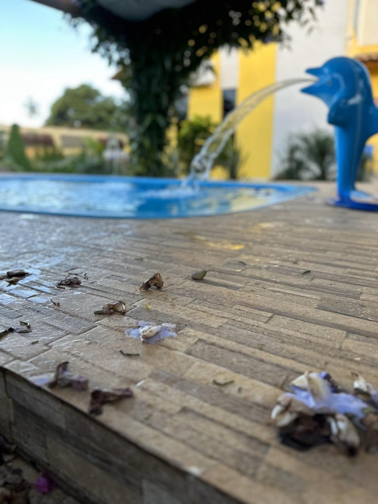 Dos Sonhos